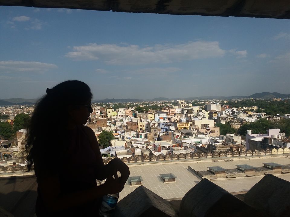 Photo of Udaipur City Palace By Dr Neeraj Garg