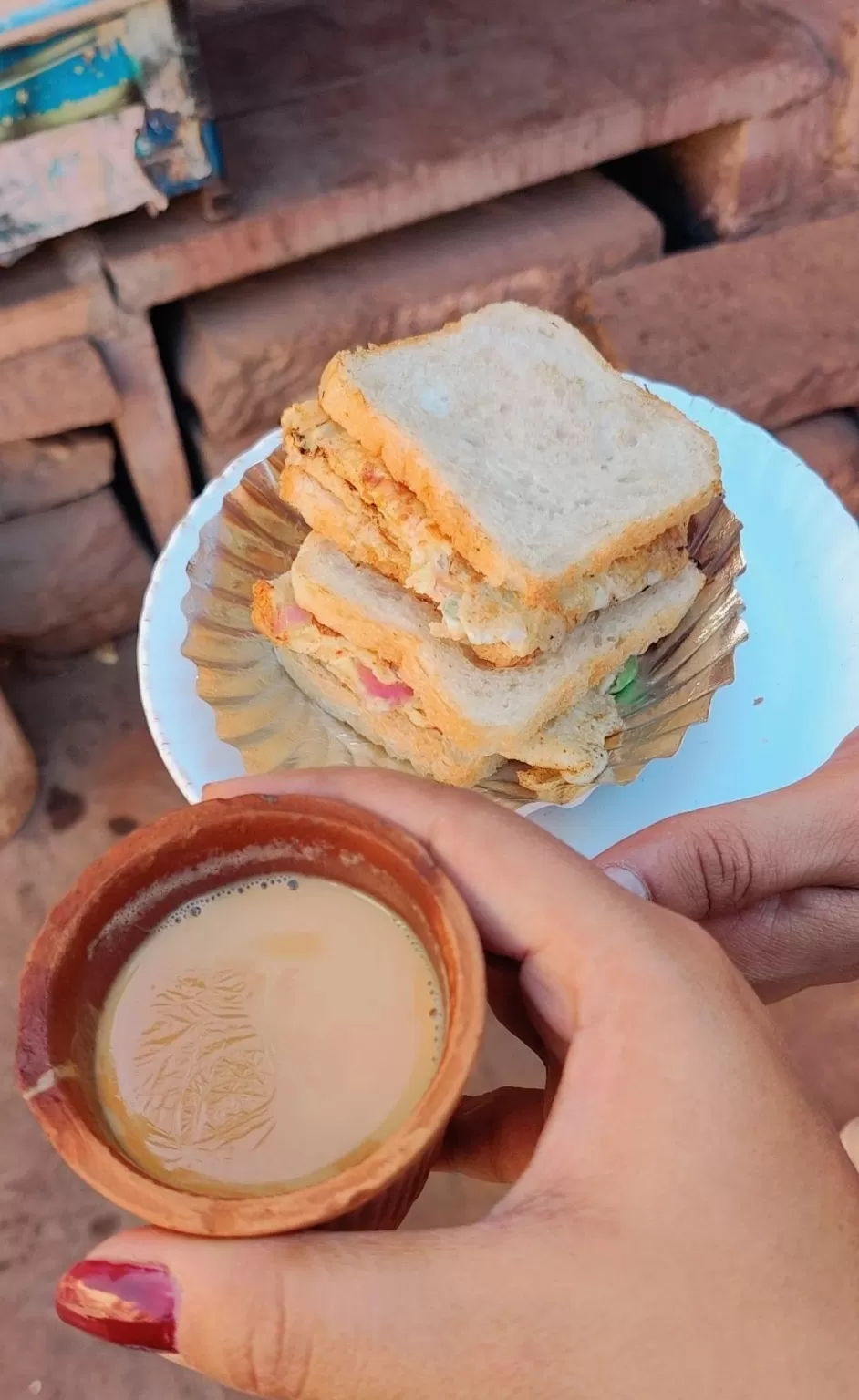 Photo of Jodhpur By Aparupa Datta