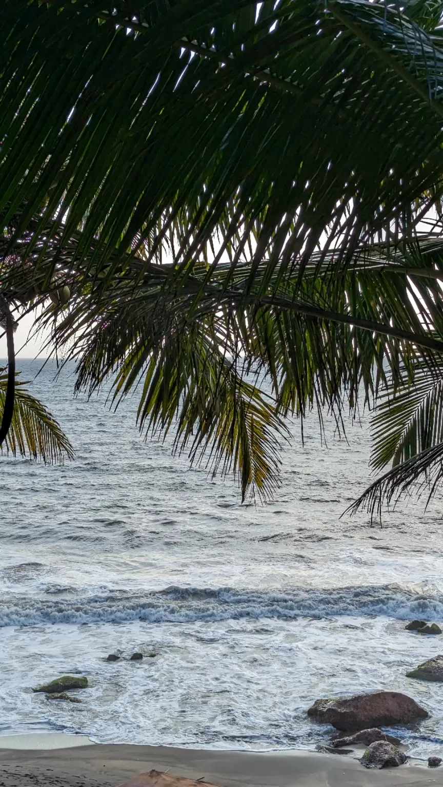 Photo of Colva Beach By Aparupa Datta