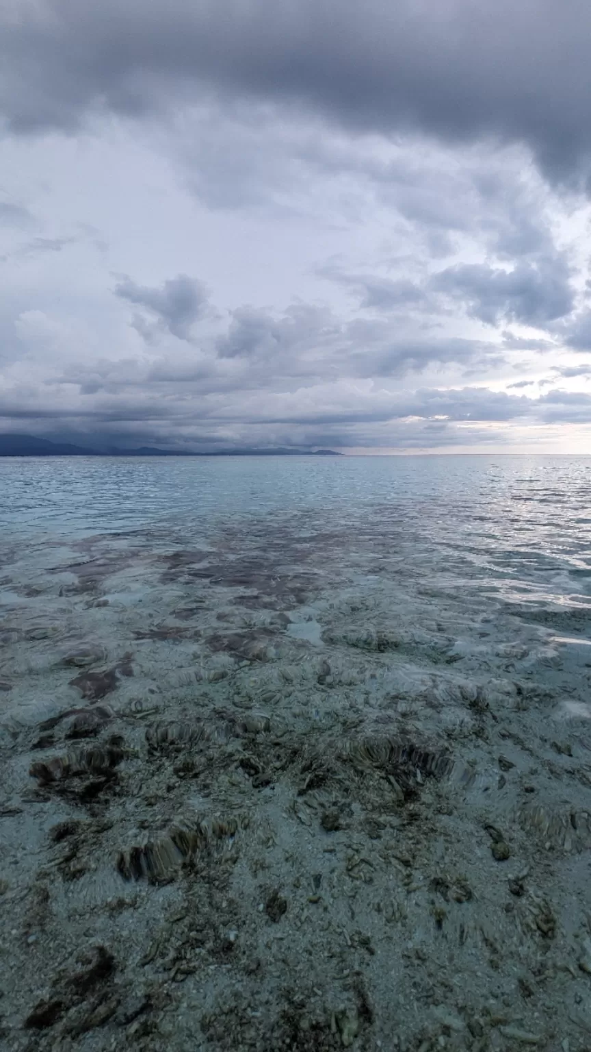 Photo of Raja Ampat By Aparupa Datta