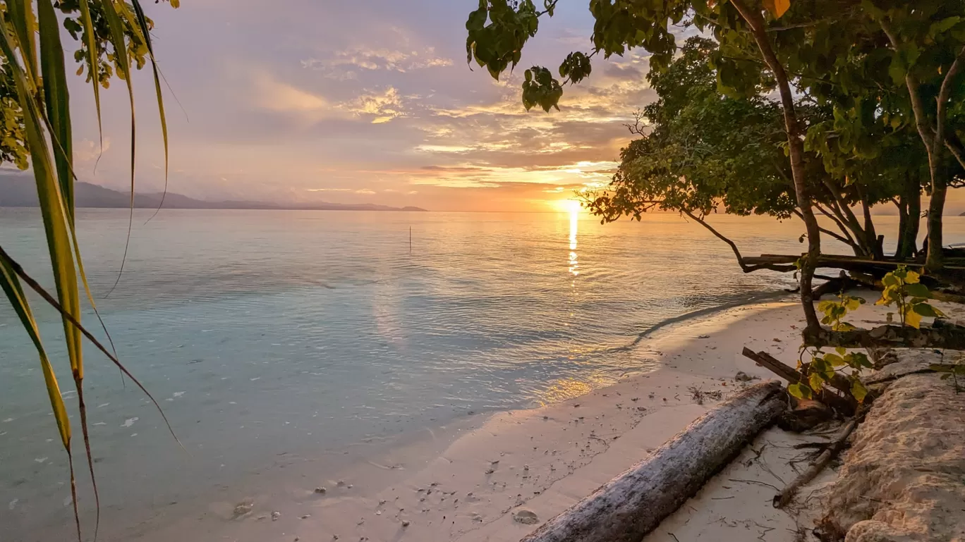 Photo of Raja Ampat By Aparupa Datta