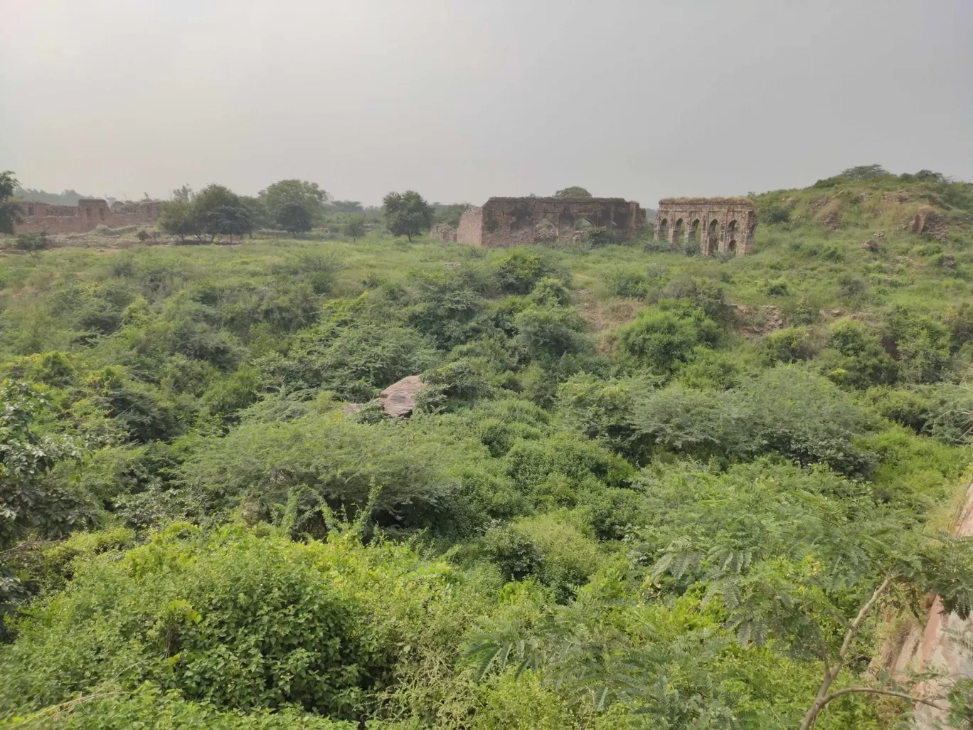 Photo of Tughlaqabad Fort By vidhisha verma