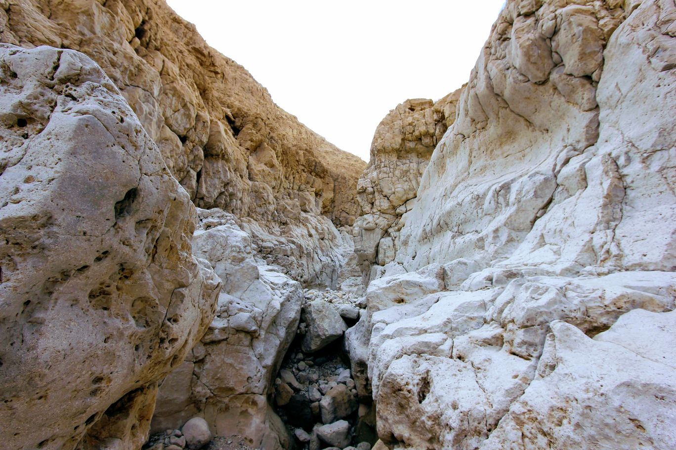 Photo of Wadi Peres, Southern District, Israel By Anna Nodelman Yanitsky