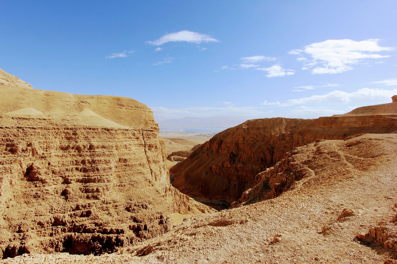 Photo of Wadi Peres, Southern District, Israel By Anna Nodelman Yanitsky