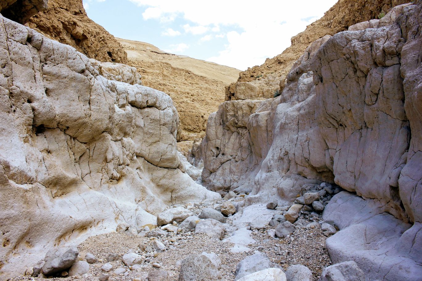 Photo of Wadi Peres, Southern District, Israel By Anna Nodelman Yanitsky