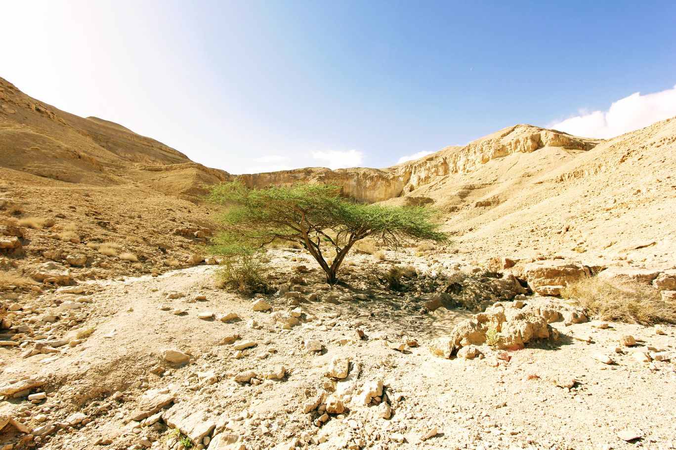 Photo of Wadi Peres, Southern District, Israel By Anna Nodelman Yanitsky