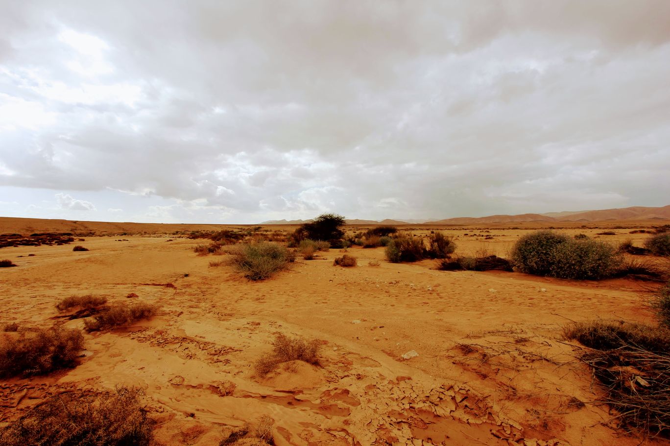 Photo of Yamin Stream By Anna Nodelman Yanitsky
