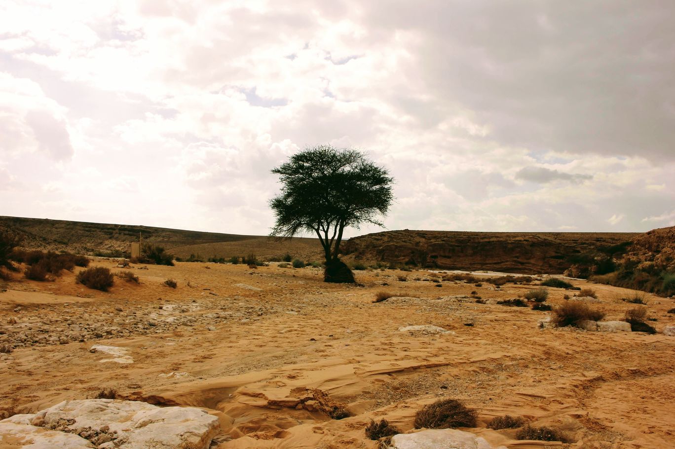 Photo of Yamin Stream By Anna Nodelman Yanitsky