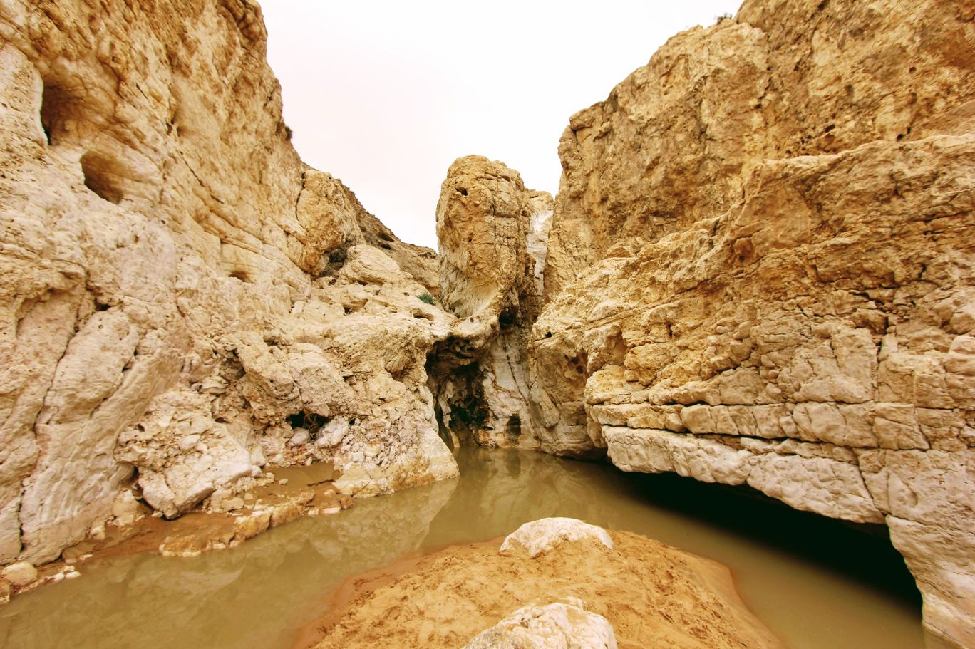 Photo of Yamin Stream By Anna Nodelman Yanitsky