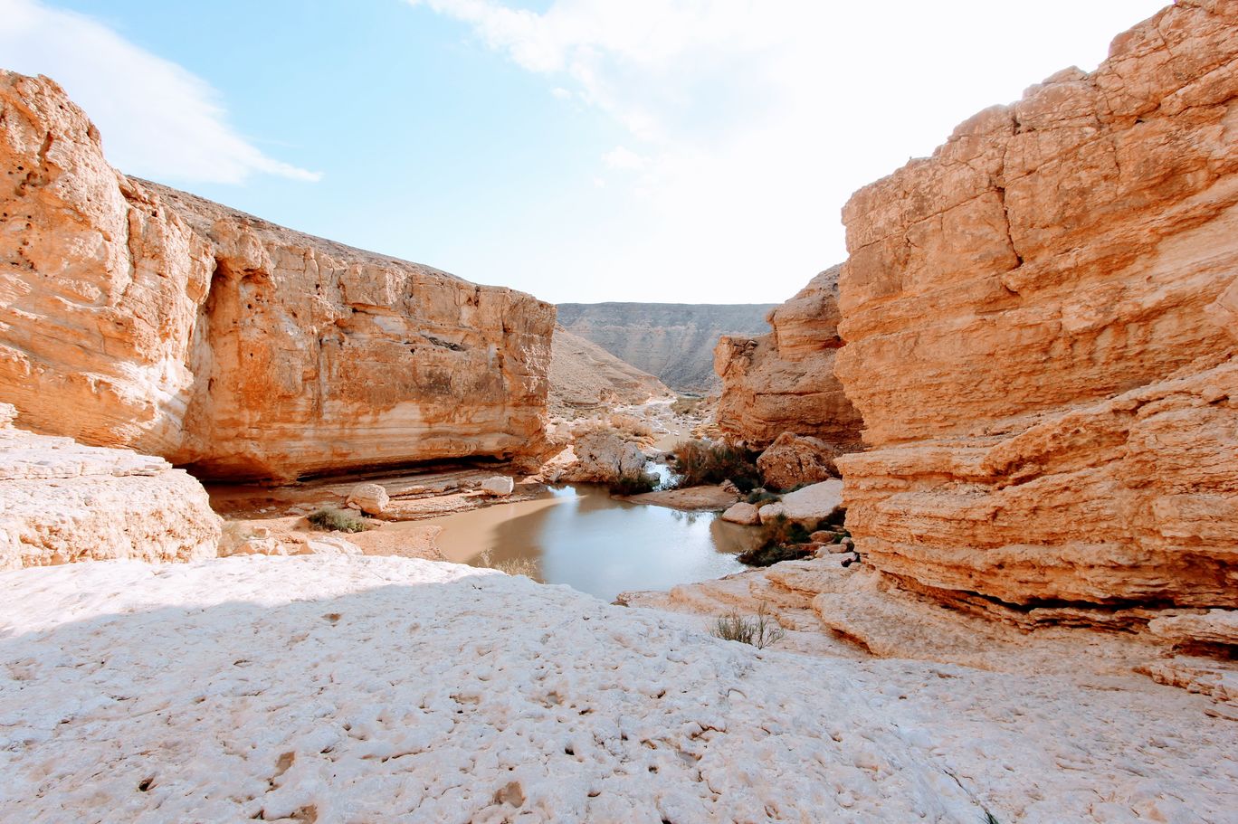 Photo of Yamin Stream By Anna Nodelman Yanitsky