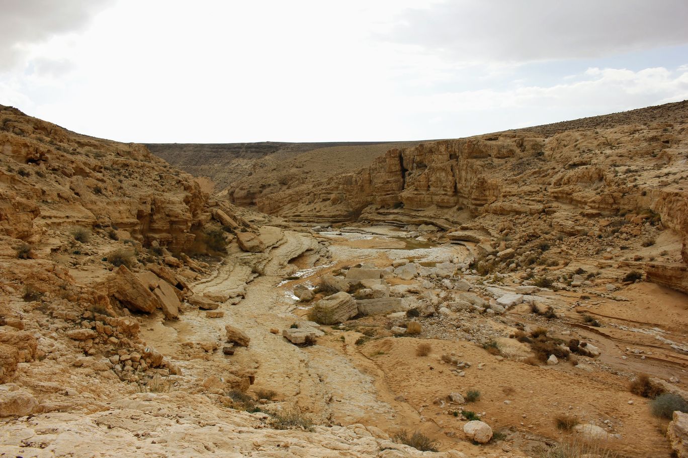 Photo of Yamin Stream By Anna Nodelman Yanitsky
