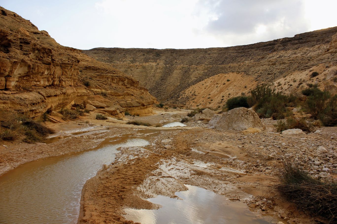 Photo of Yamin Stream By Anna Nodelman Yanitsky