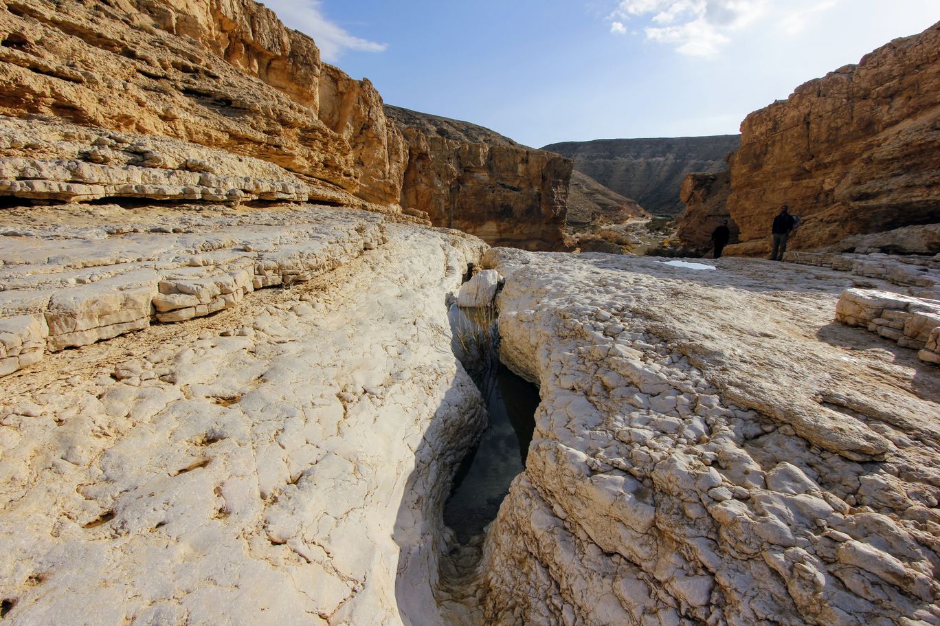 Photo of Yamin Stream By Anna Nodelman Yanitsky