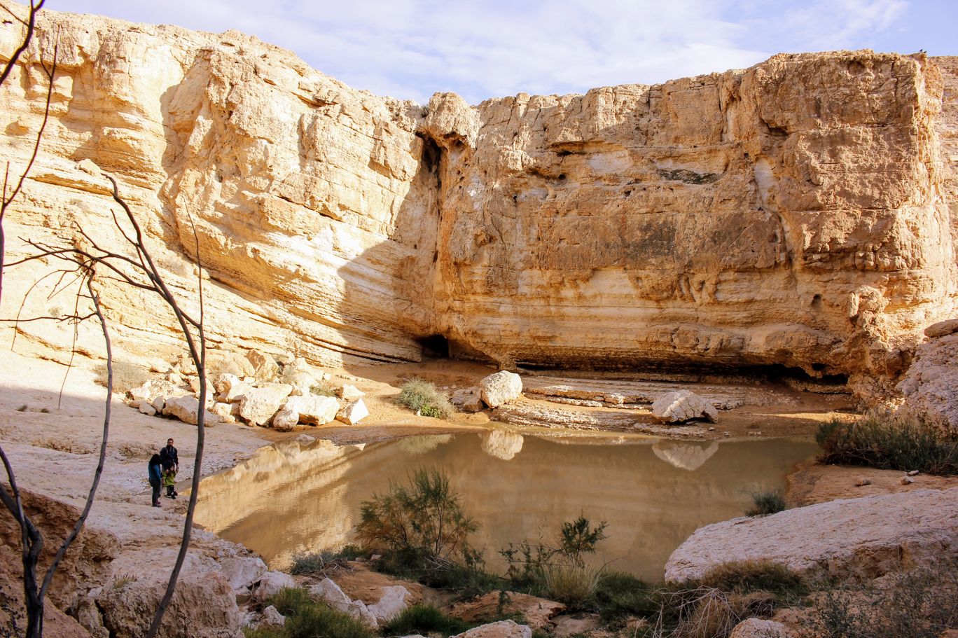 Photo of Yamin Stream By Anna Nodelman Yanitsky