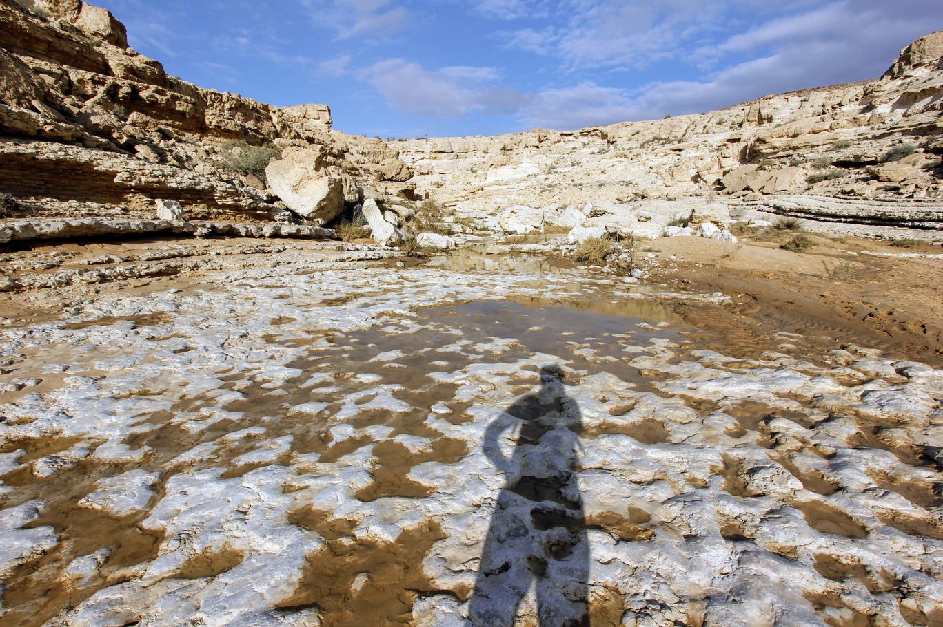 Photo of Yamin Stream By Anna Nodelman Yanitsky