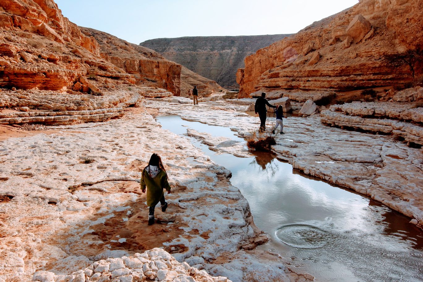 Photo of Yamin Stream By Anna Nodelman Yanitsky