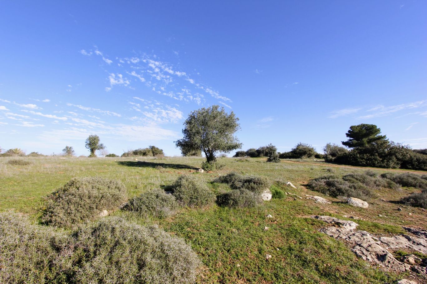 Photo of Luzit Caves By Anna Nodelman Yanitsky