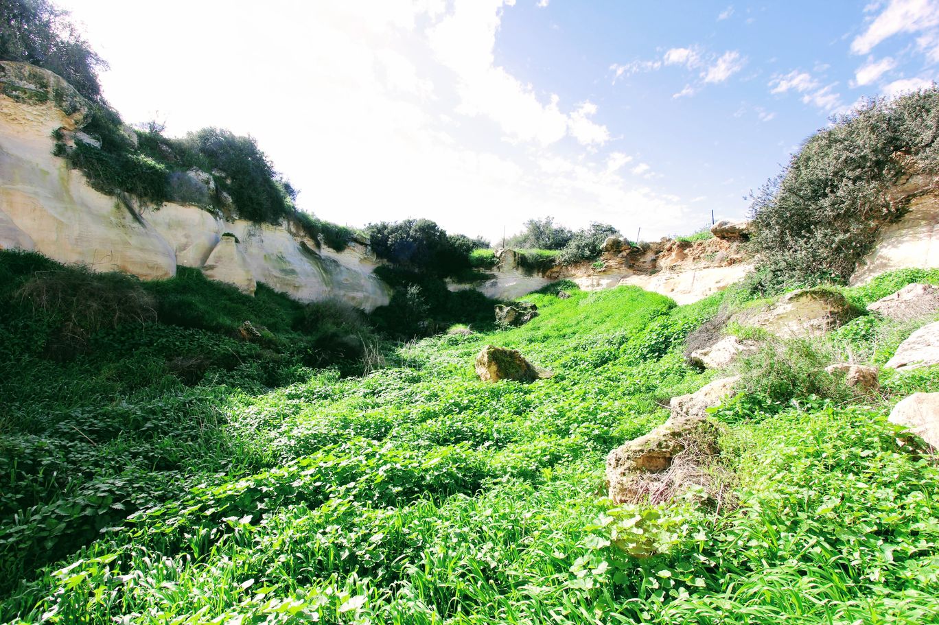 Photo of Luzit Caves By Anna Nodelman Yanitsky