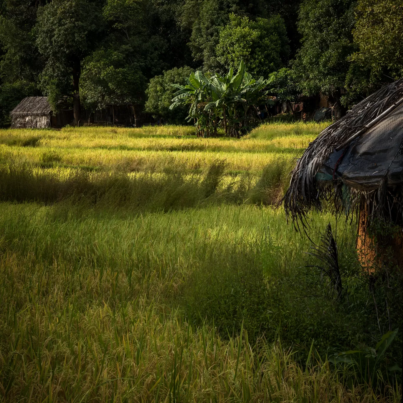 Photo of Gokarna By Puneet Verma