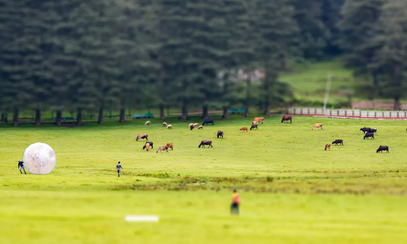 Photo of Himachal Pradesh By Puneet Verma