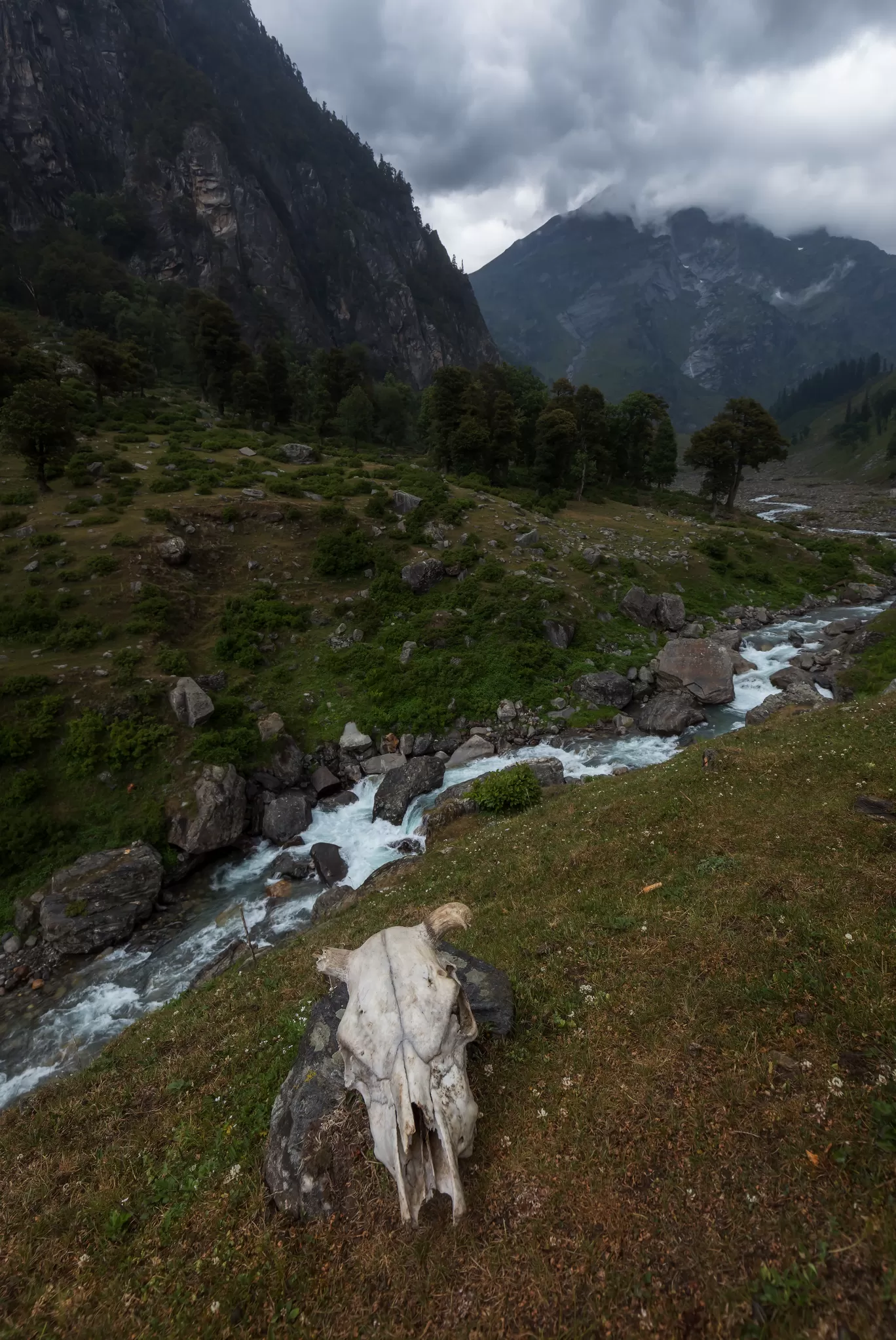 Photo of Himachal Pradesh By Puneet Verma