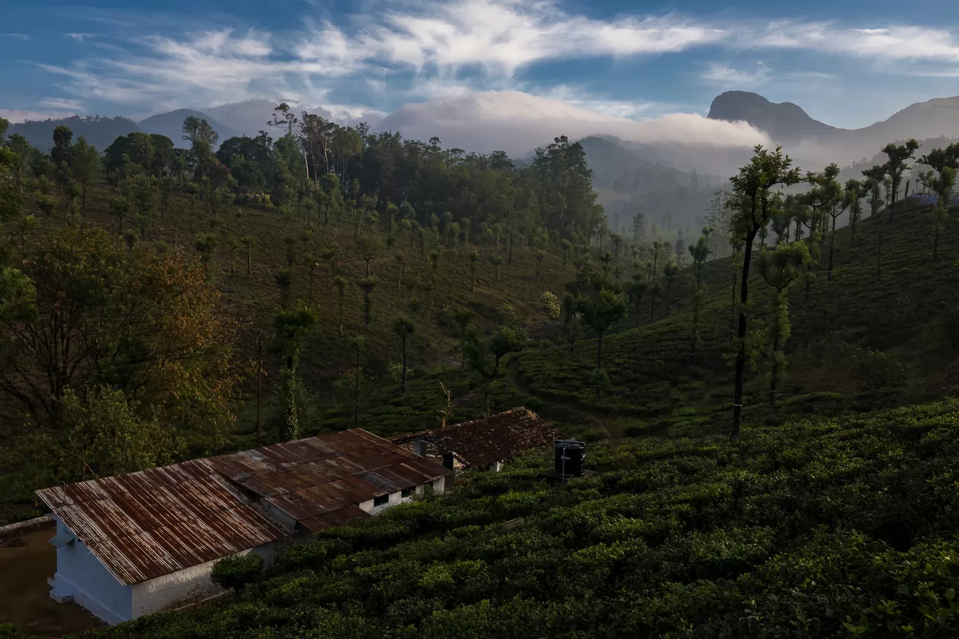 Photo of Valparai By Puneet Verma