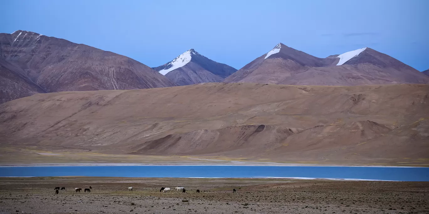 Photo of Ladakh By Puneet Verma