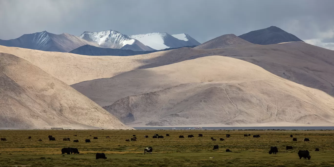 Photo of Ladakh By Puneet Verma