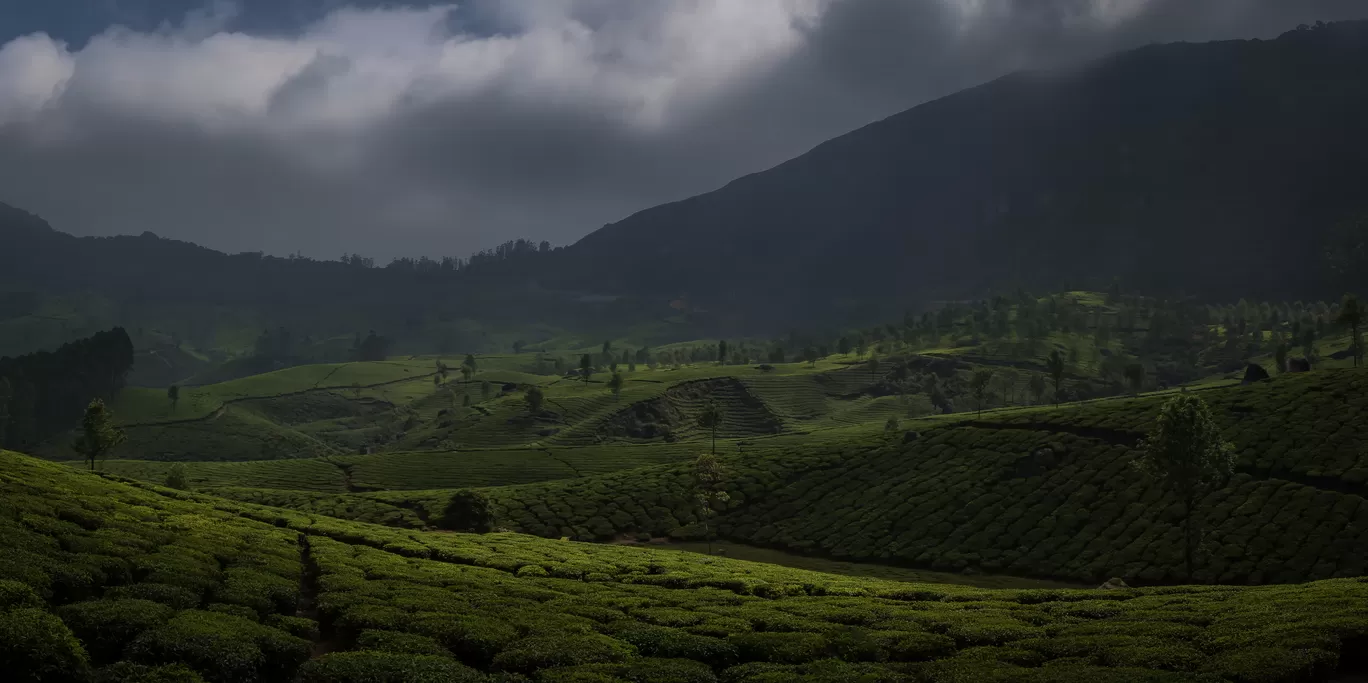 Photo of Western Ghats By Puneet Verma
