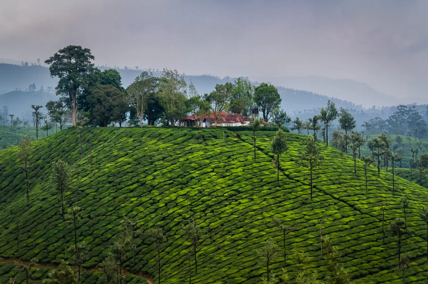 Photo of Western Ghats By Puneet Verma