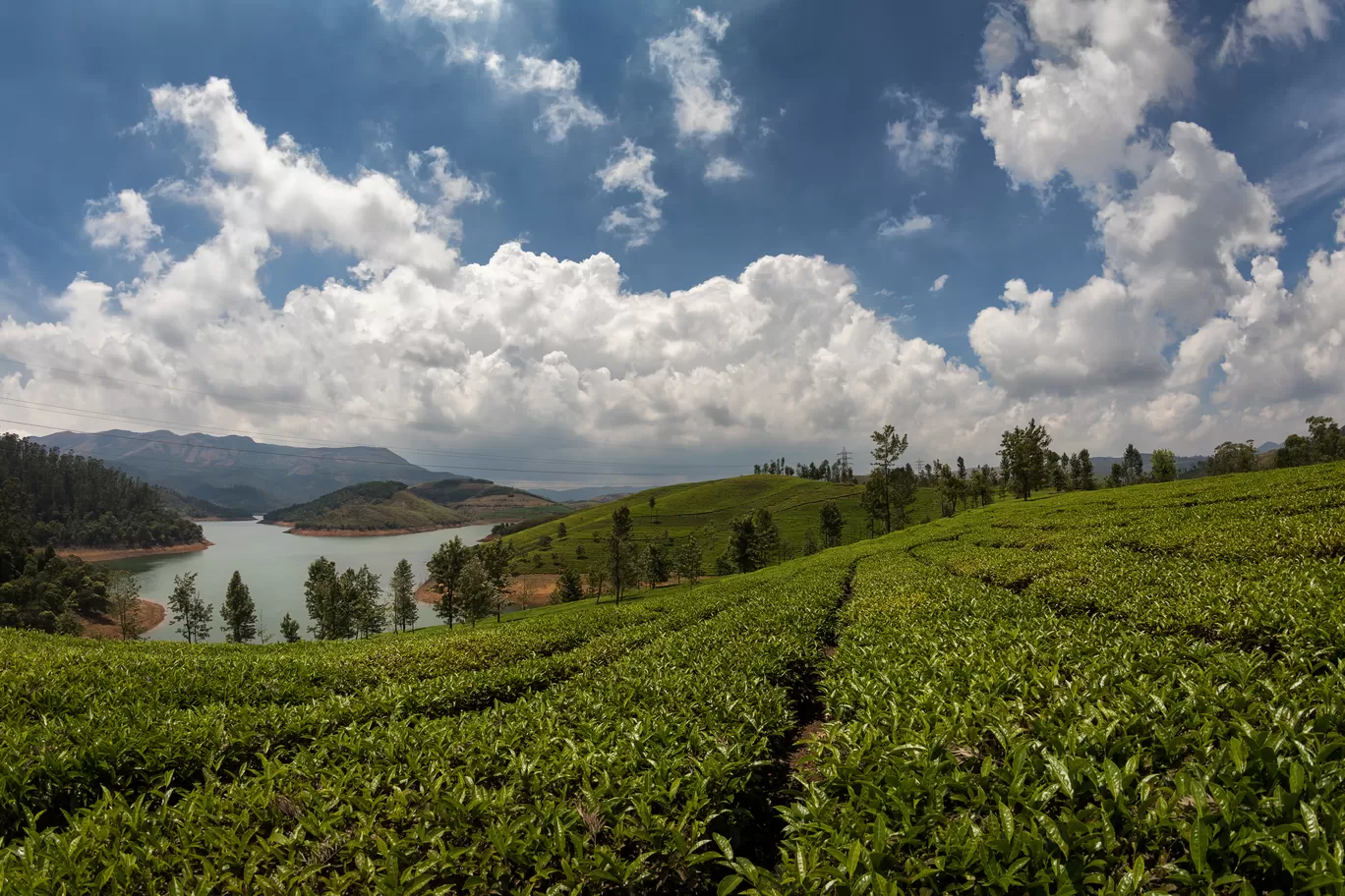 Photo of Western Ghats By Puneet Verma