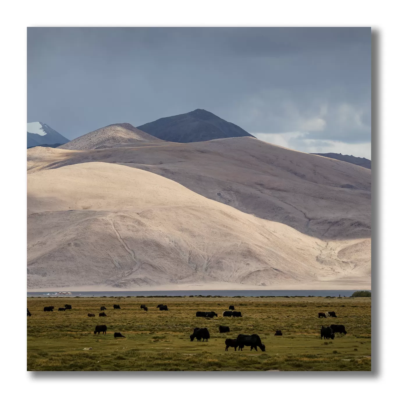 Photo of Ladakh By Puneet Verma