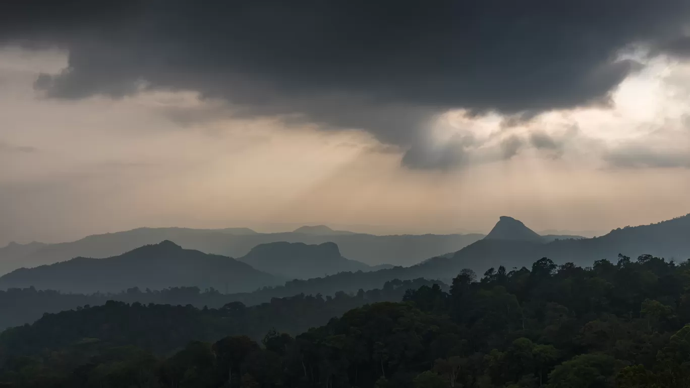 Photo of Munnar By Puneet Verma