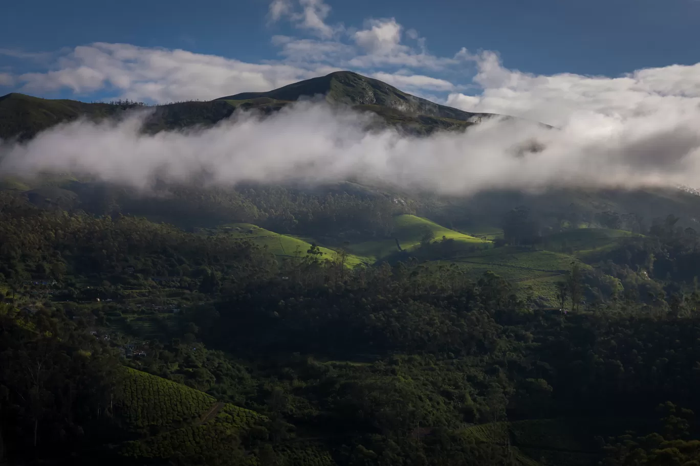 Photo of Munnar By Puneet Verma