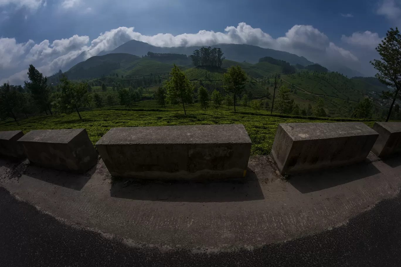 Photo of Munnar By Puneet Verma