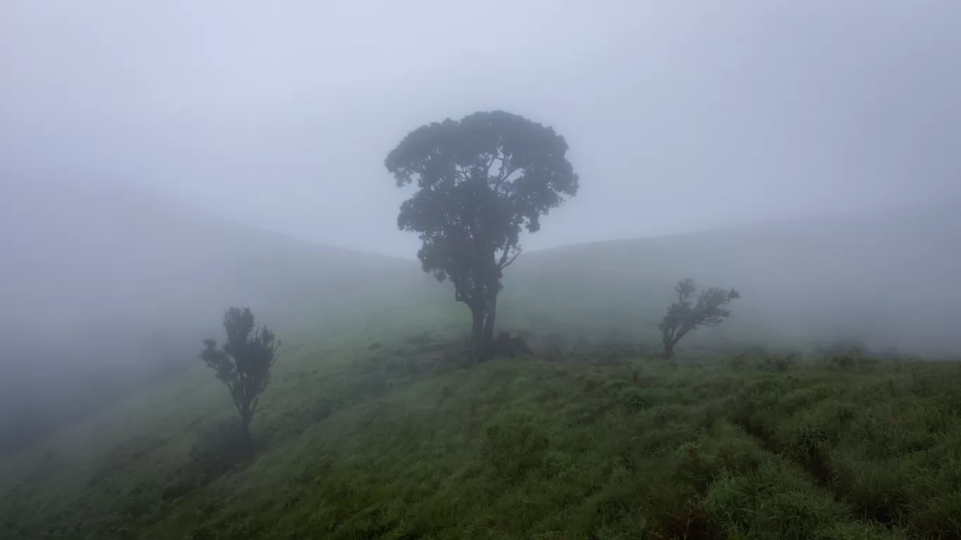 Photo of Karnataka By Puneet Verma