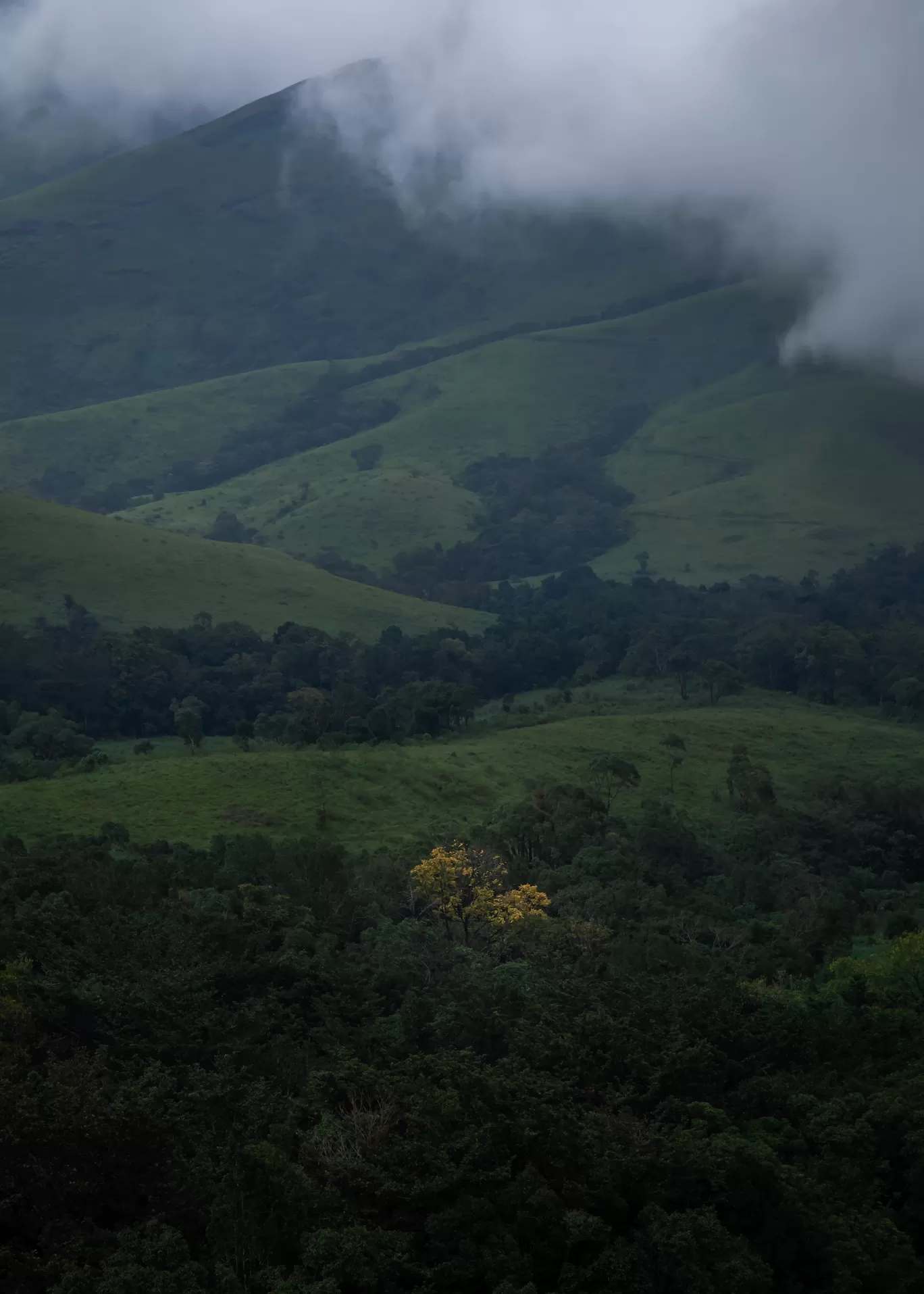 Photo of Karnataka By Puneet Verma