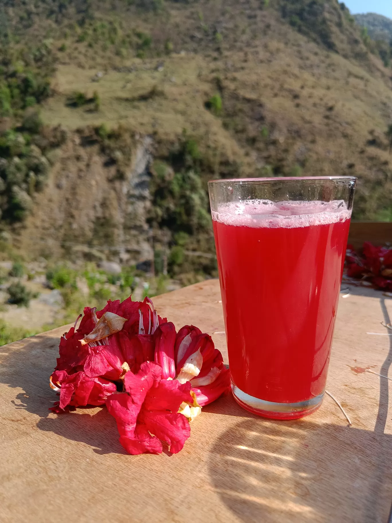 Photo of Bir By Puneet Verma