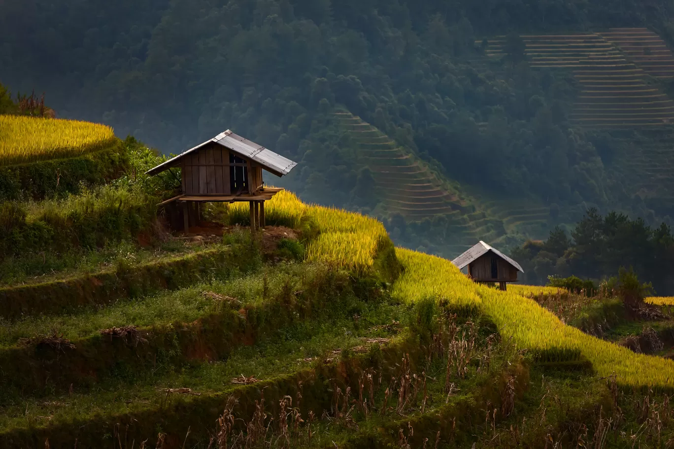 Photo of Vietnam By Puneet Verma