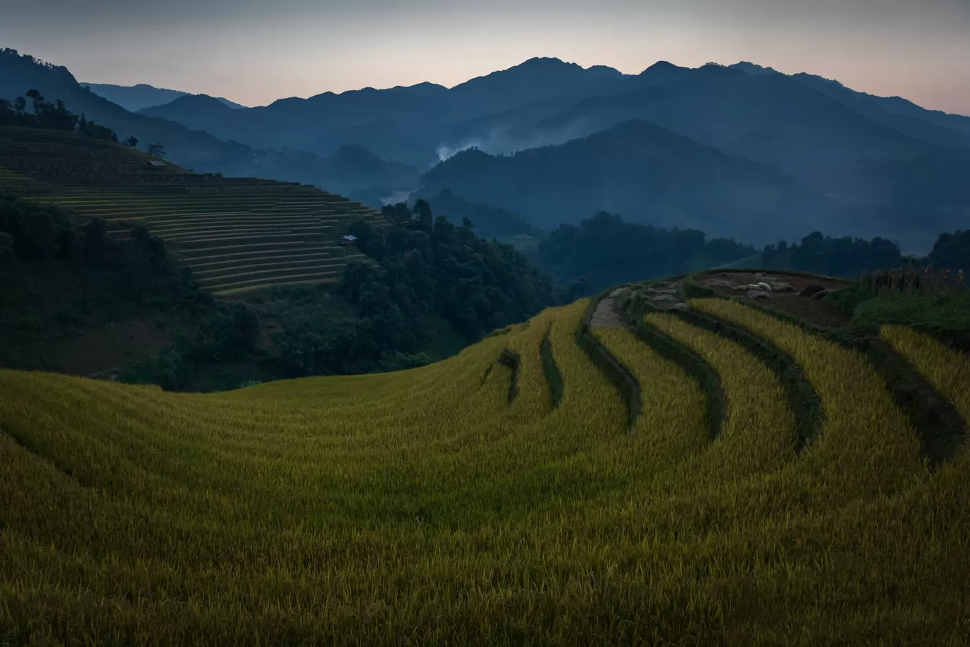 Photo of Vietnam By Puneet Verma