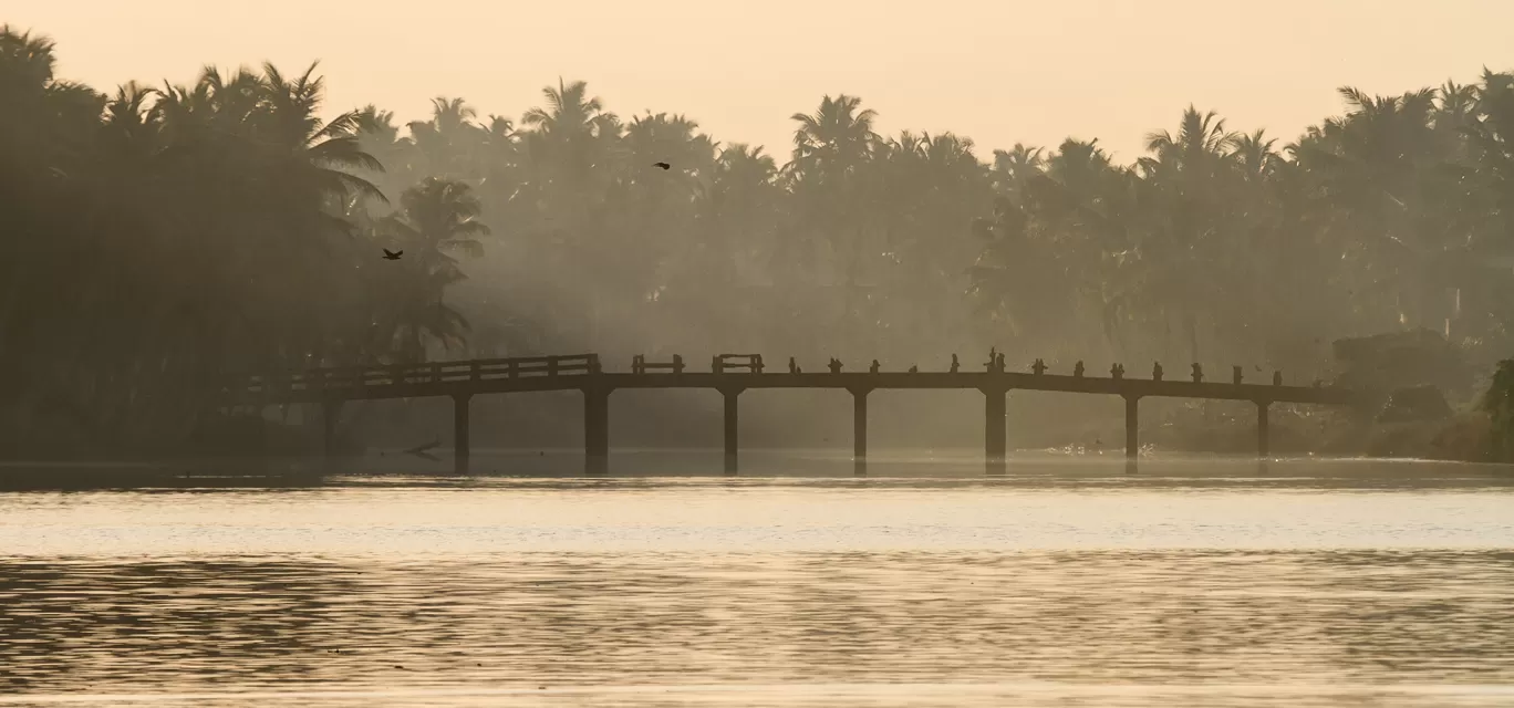 Photo of Neyyar By Puneet Verma