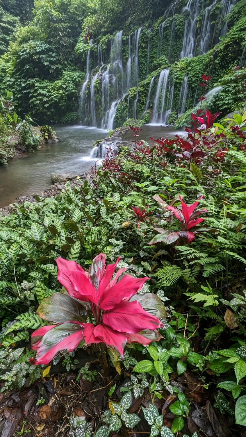 Photo of Bali By Puneet Verma