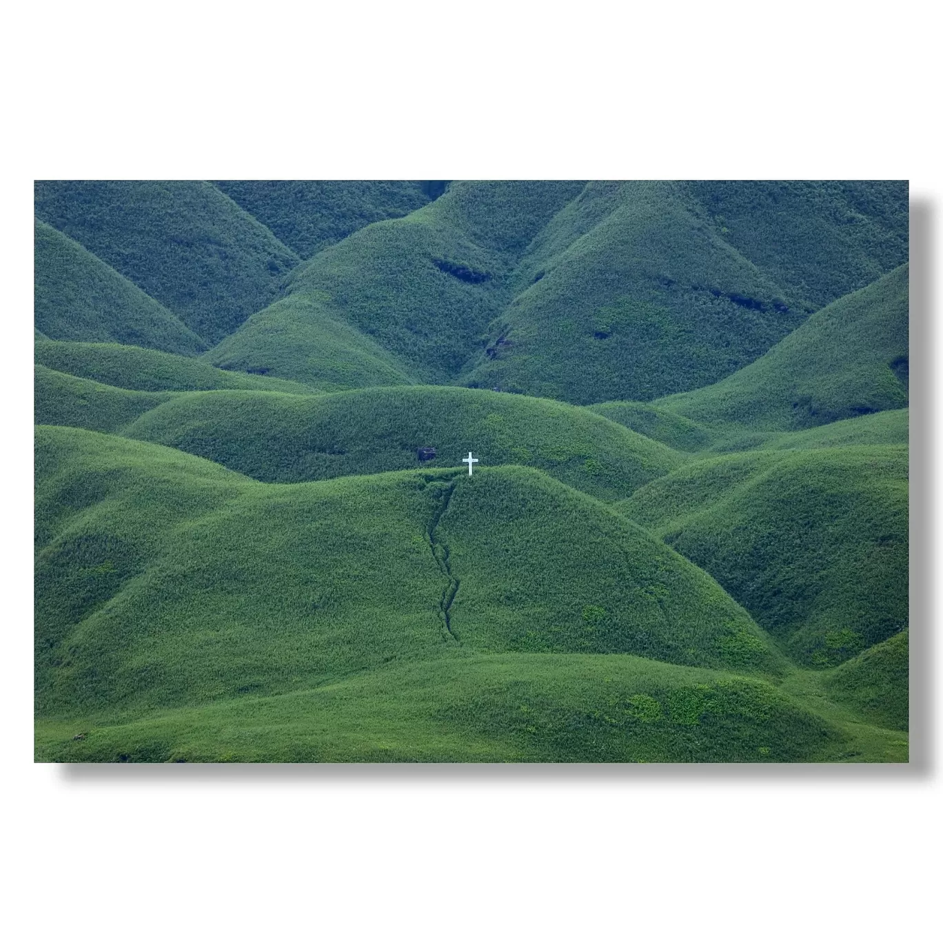 Photo of Dzükou Valley By Puneet Verma