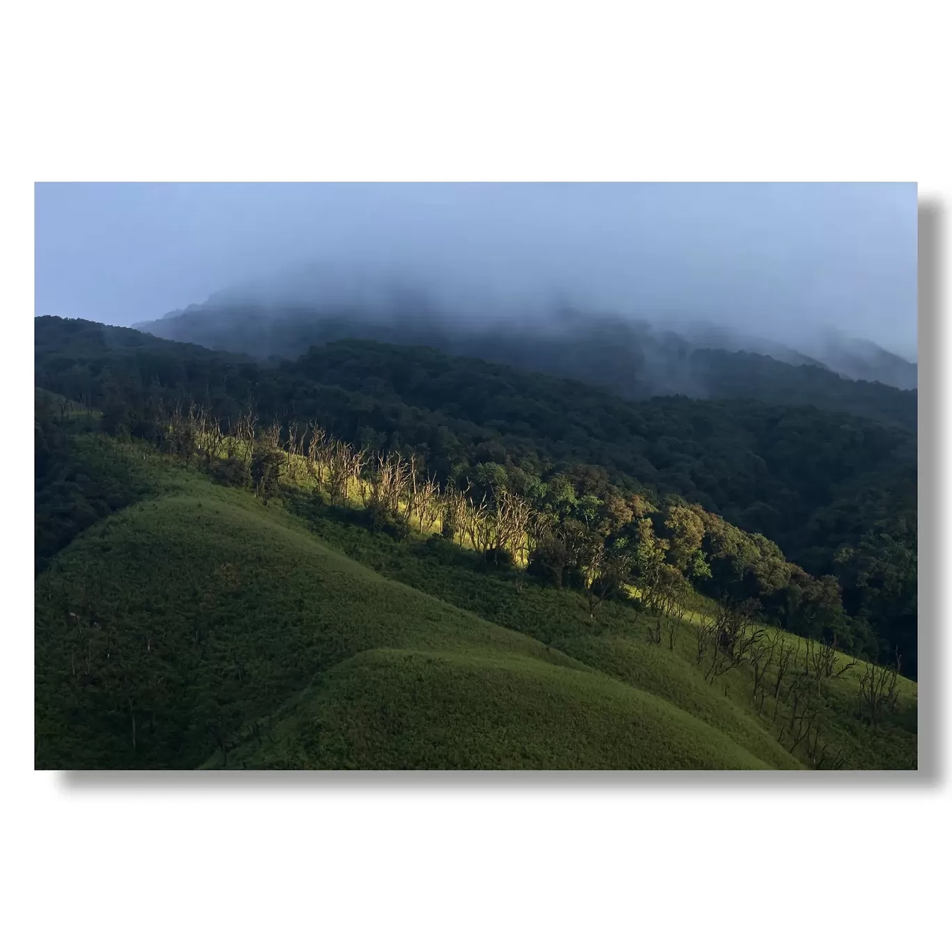 Photo of Dzükou Valley By Puneet Verma