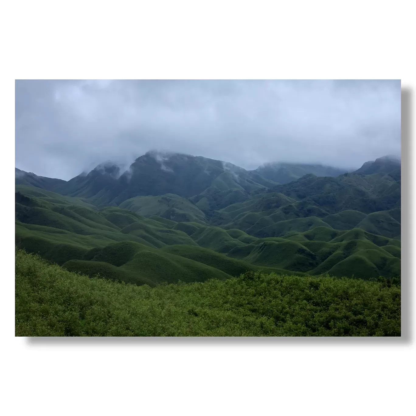 Photo of Dzükou Valley By Puneet Verma