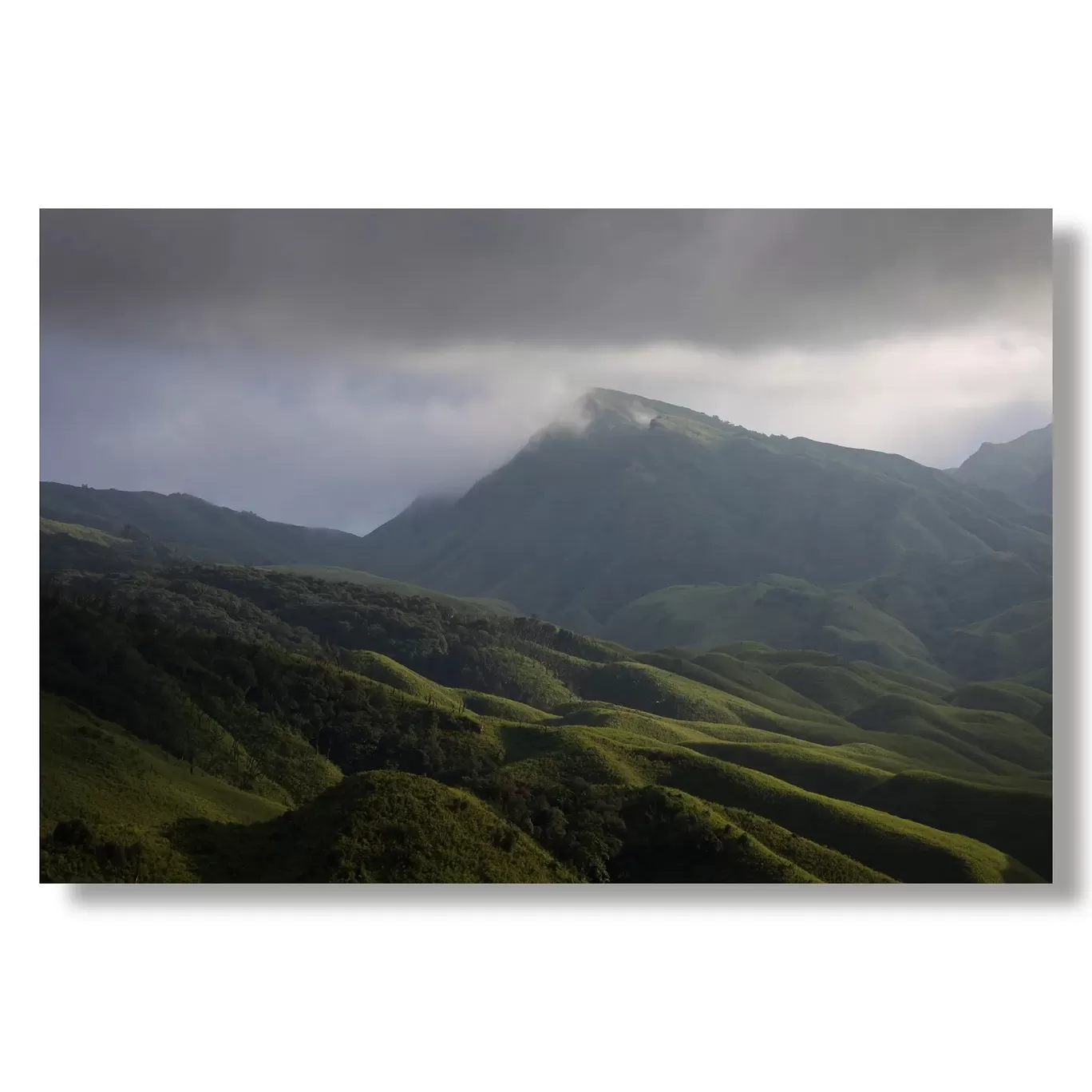 Photo of Dzükou Valley By Puneet Verma