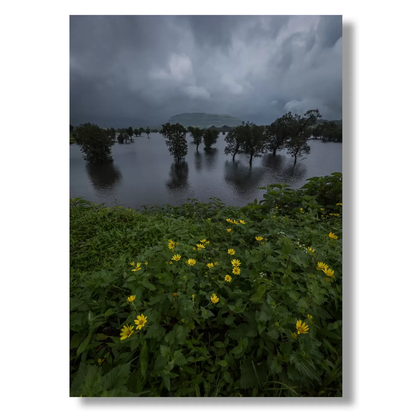 Photo of Bhandardara By Puneet Verma