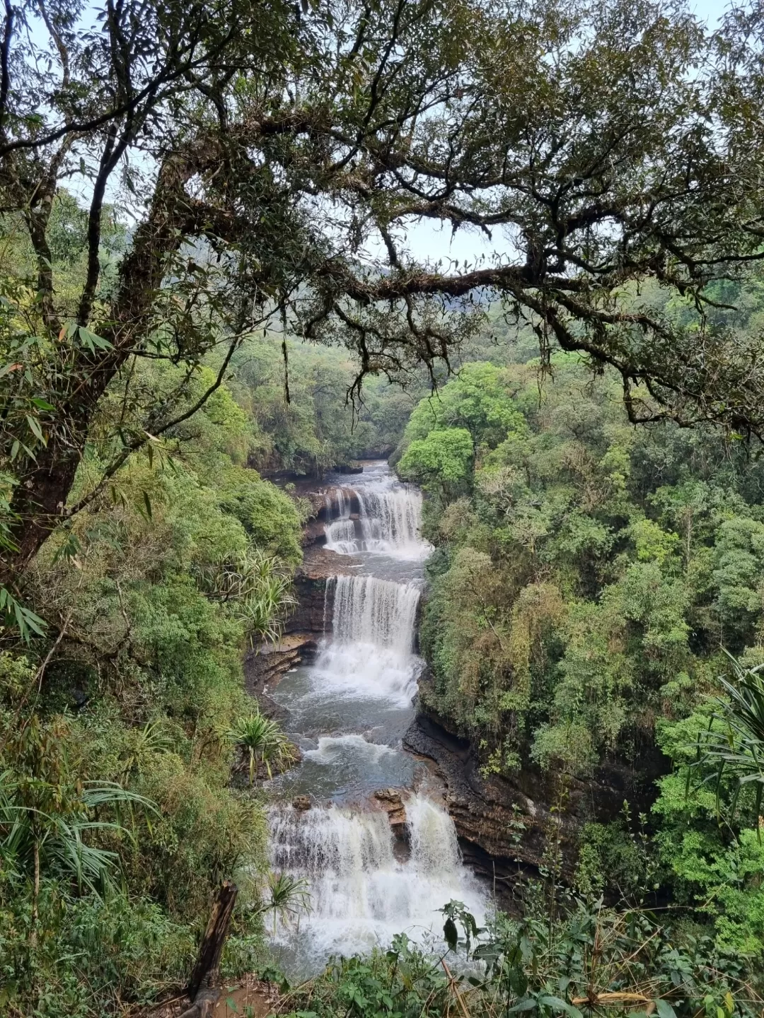 Photo of Meghalaya By Mayuri Shukla