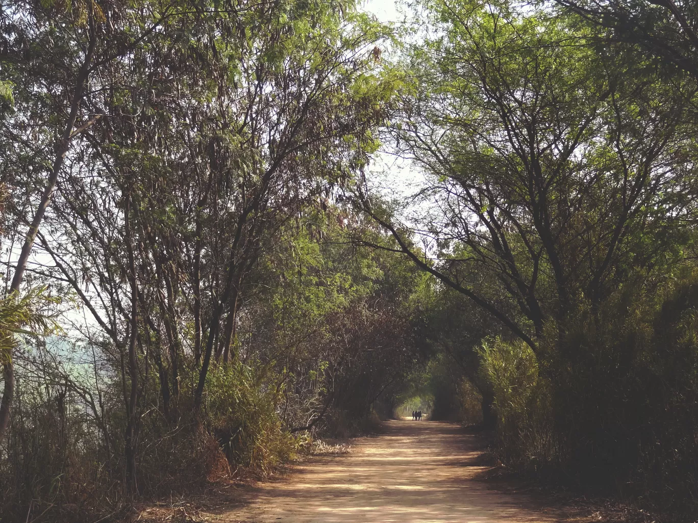 Photo of Chandigarh By Prakriti Vats