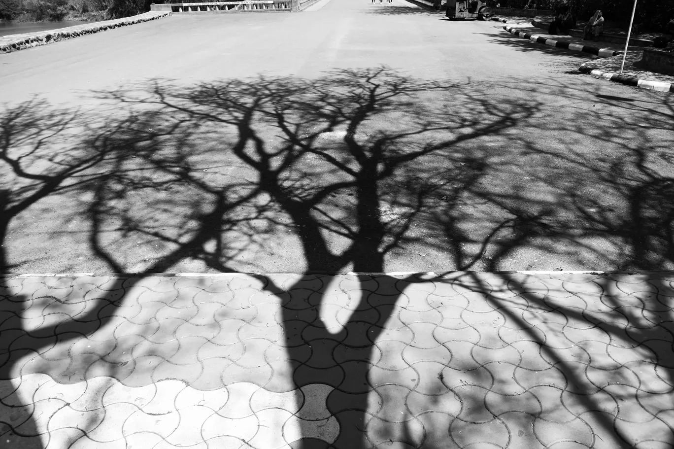 Photo of Chandigarh By Prakriti Vats